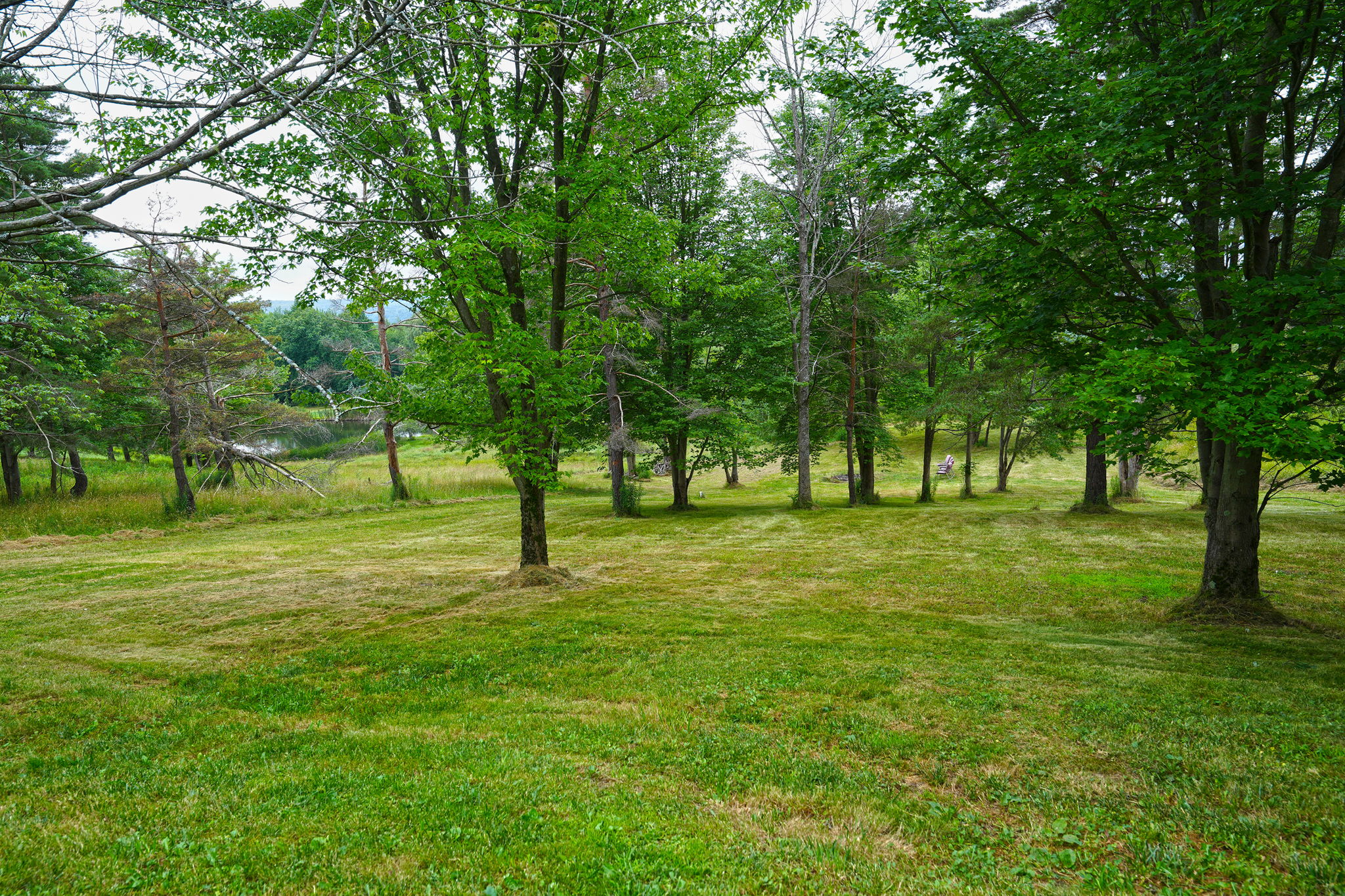  Photo 47