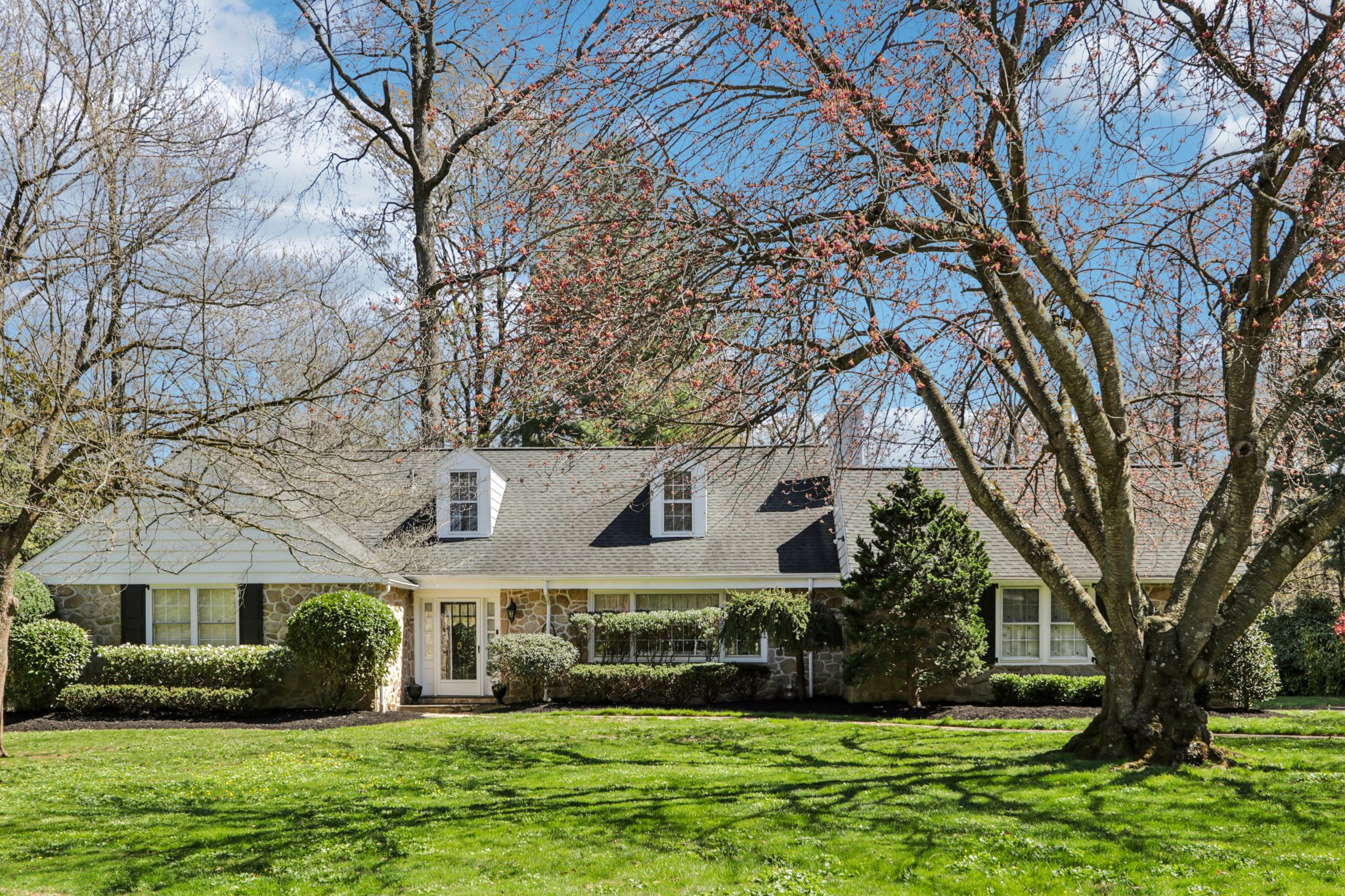 Leopard Rd-S0804-002.jpg