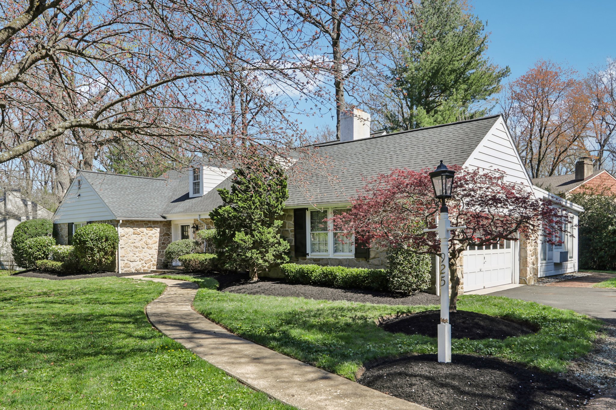 Leopard Rd-S0804-003.jpg