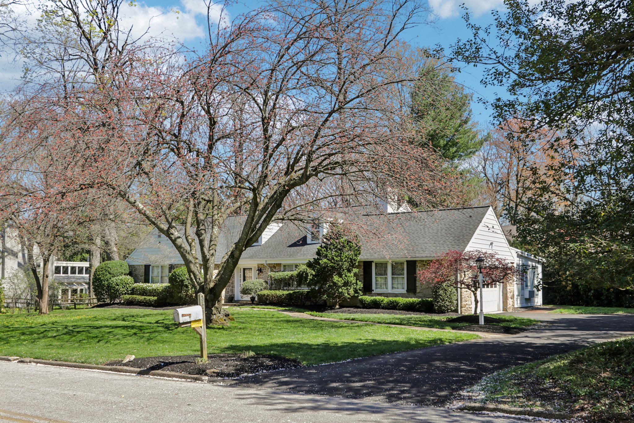 Leopard Rd-S0804-004.jpg