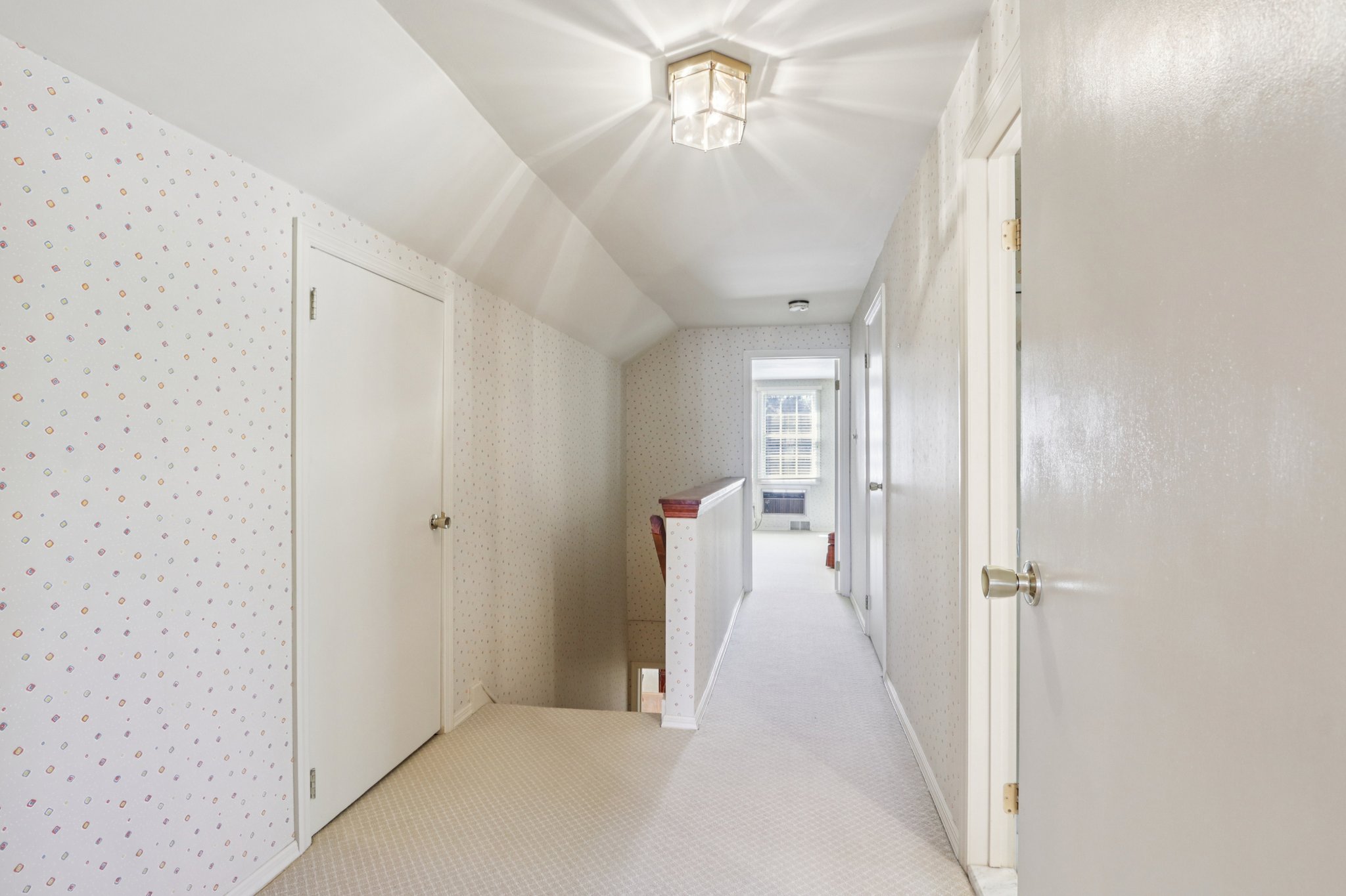 Leopard Rd-S0804-024.jpg