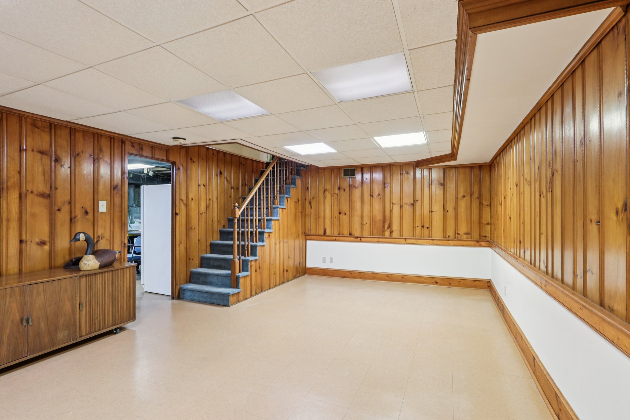 Leopard Rd-S0804-047.jpg