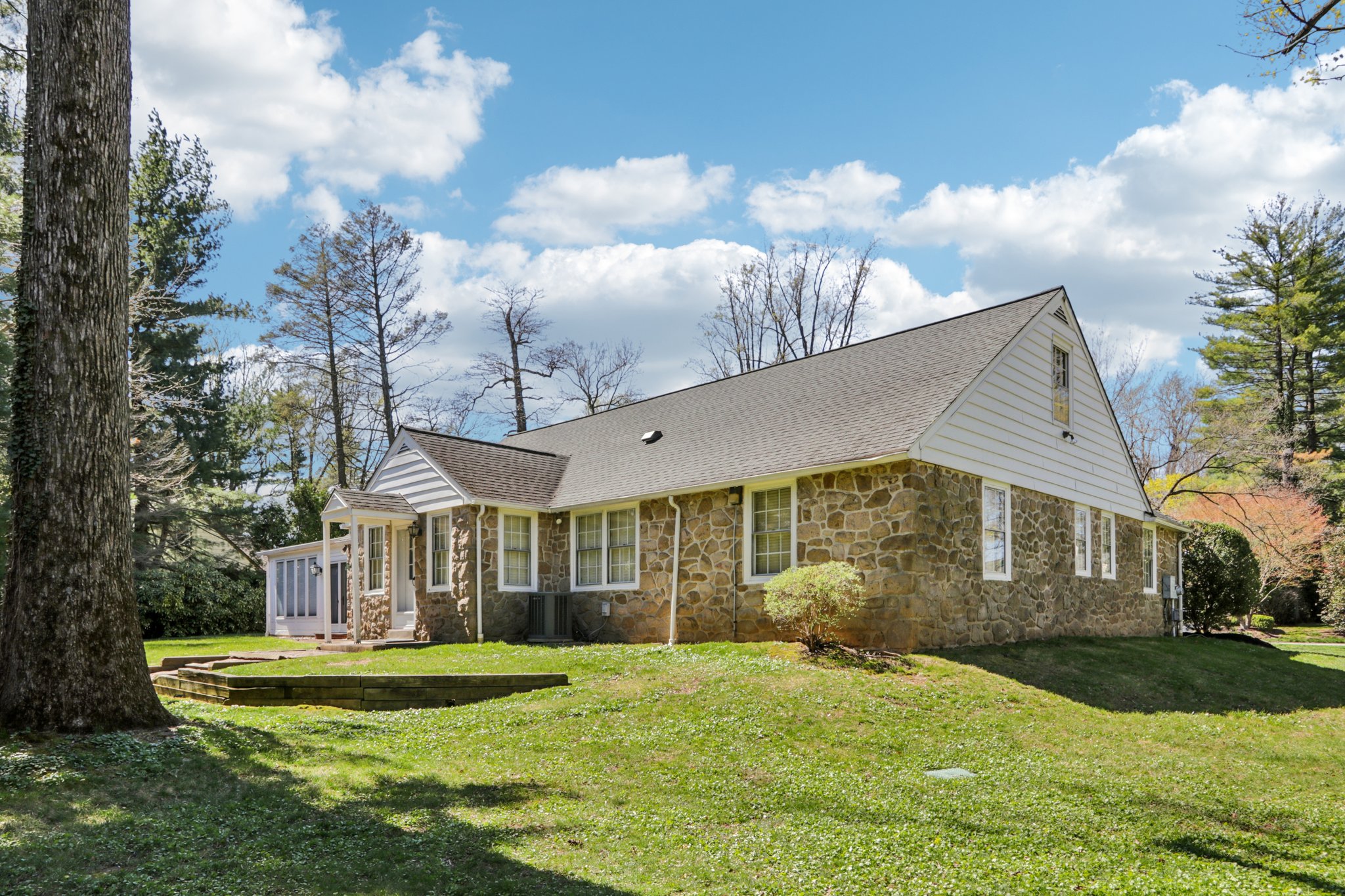 Leopard Rd-S0804-057.jpg