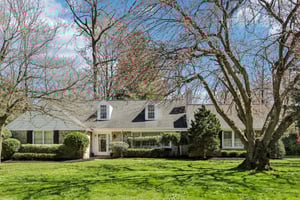 Leopard Rd-S0804-002.jpg