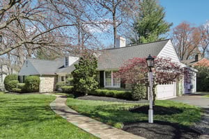 Leopard Rd-S0804-003.jpg