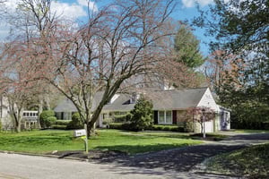 Leopard Rd-S0804-004.jpg