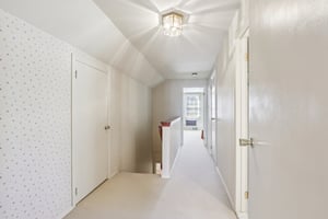 Leopard Rd-S0804-024.jpg