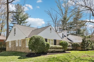 Leopard Rd-S0804-055.jpg