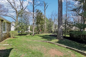 Leopard Rd-S0804-056.jpg