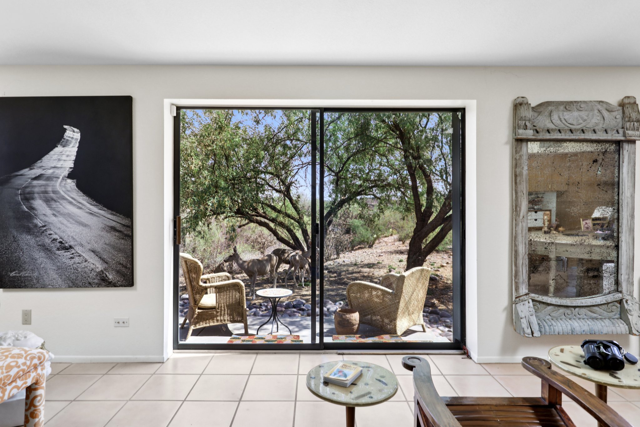 N Smoketree Cir-2106-037.jpg