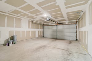 Winged Scoter-S2310-034.jpg