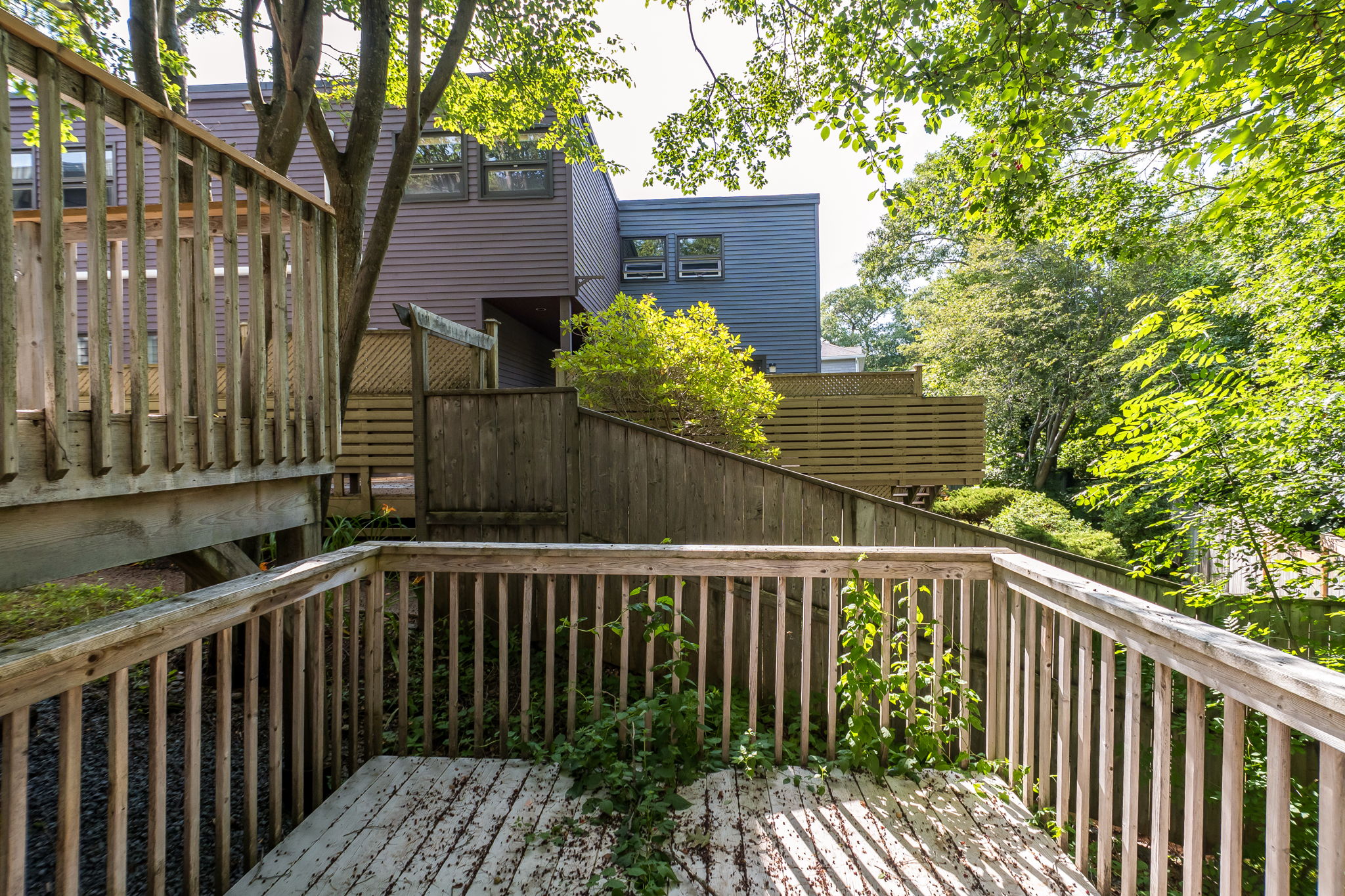  Photo 74