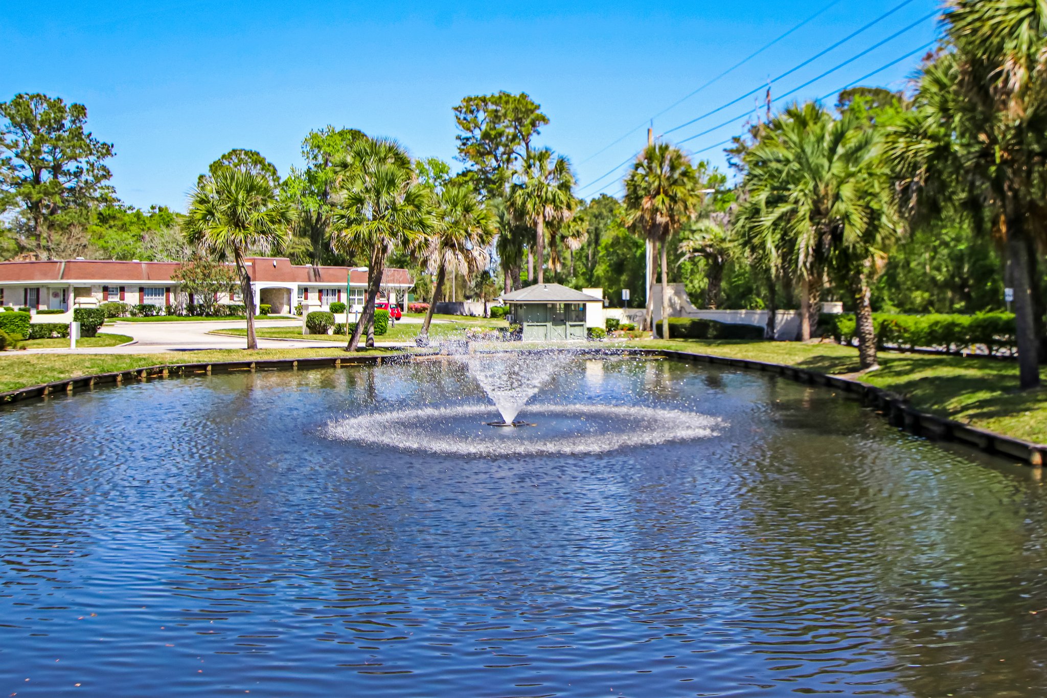 Solano Grove