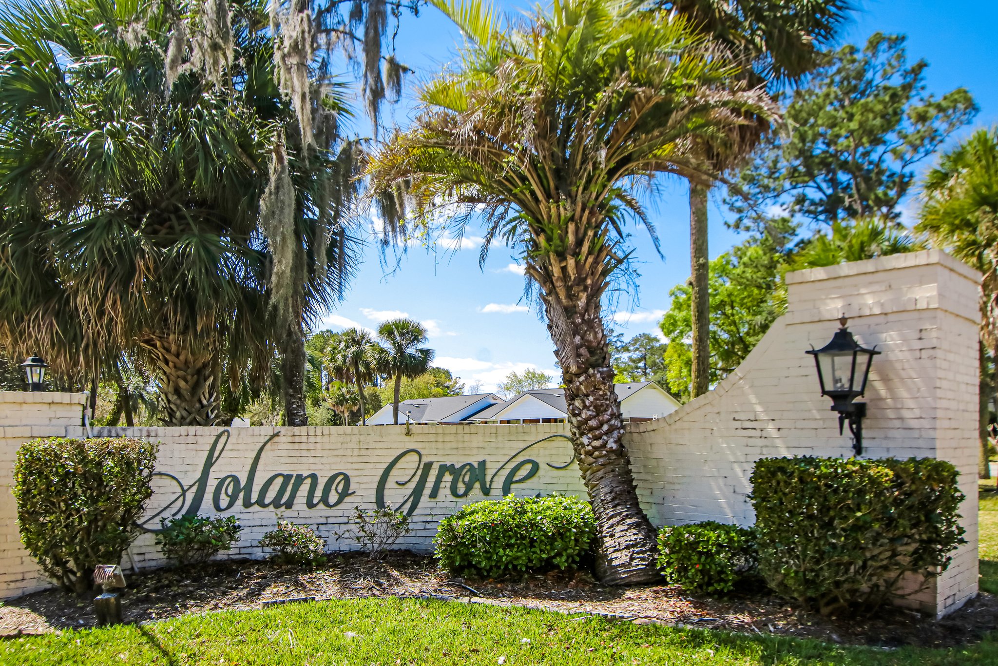 Solano Grove