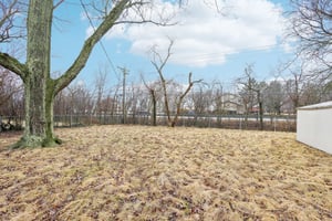Braemar Rd-039.jpg