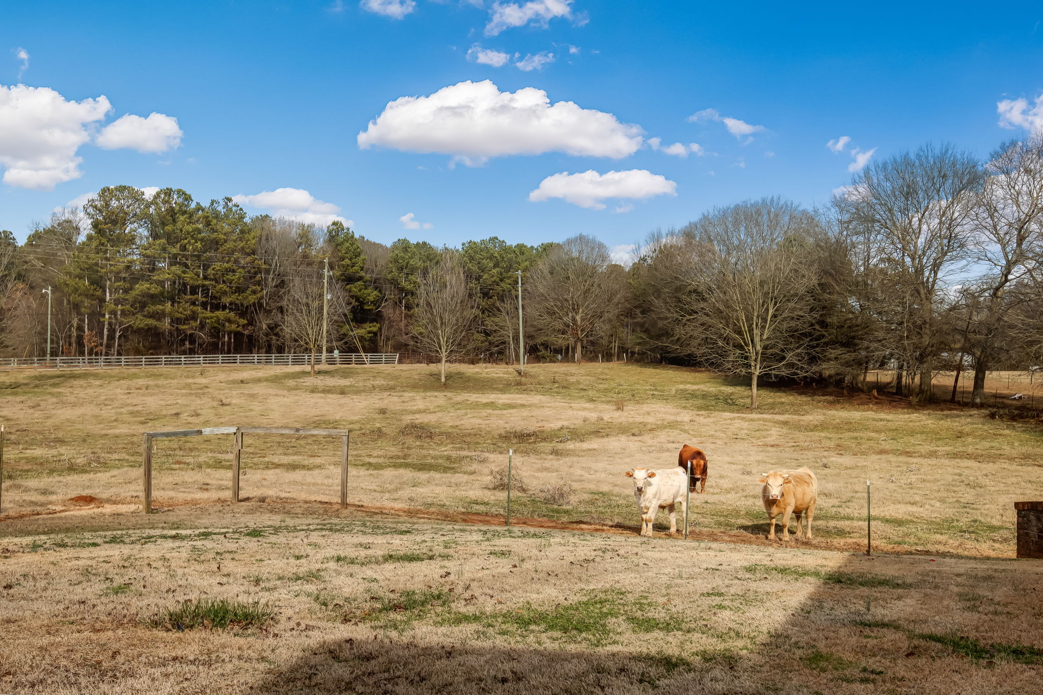 Front Yard View