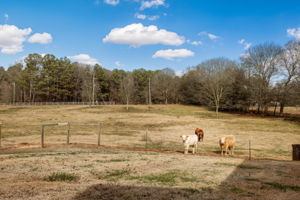 Front Yard View