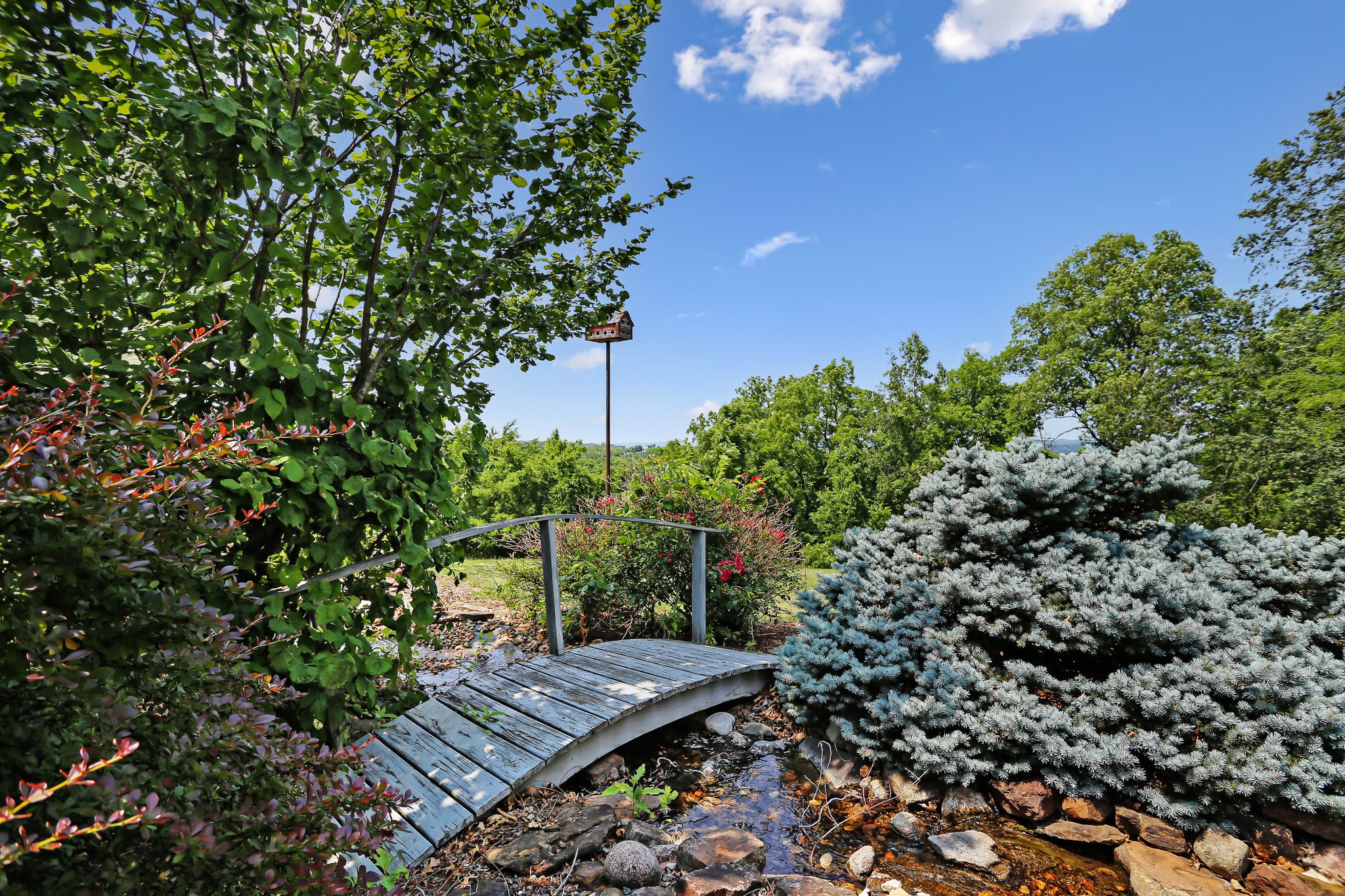 Water Feature