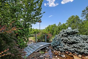 Water Feature