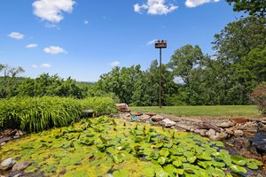 Water Feature