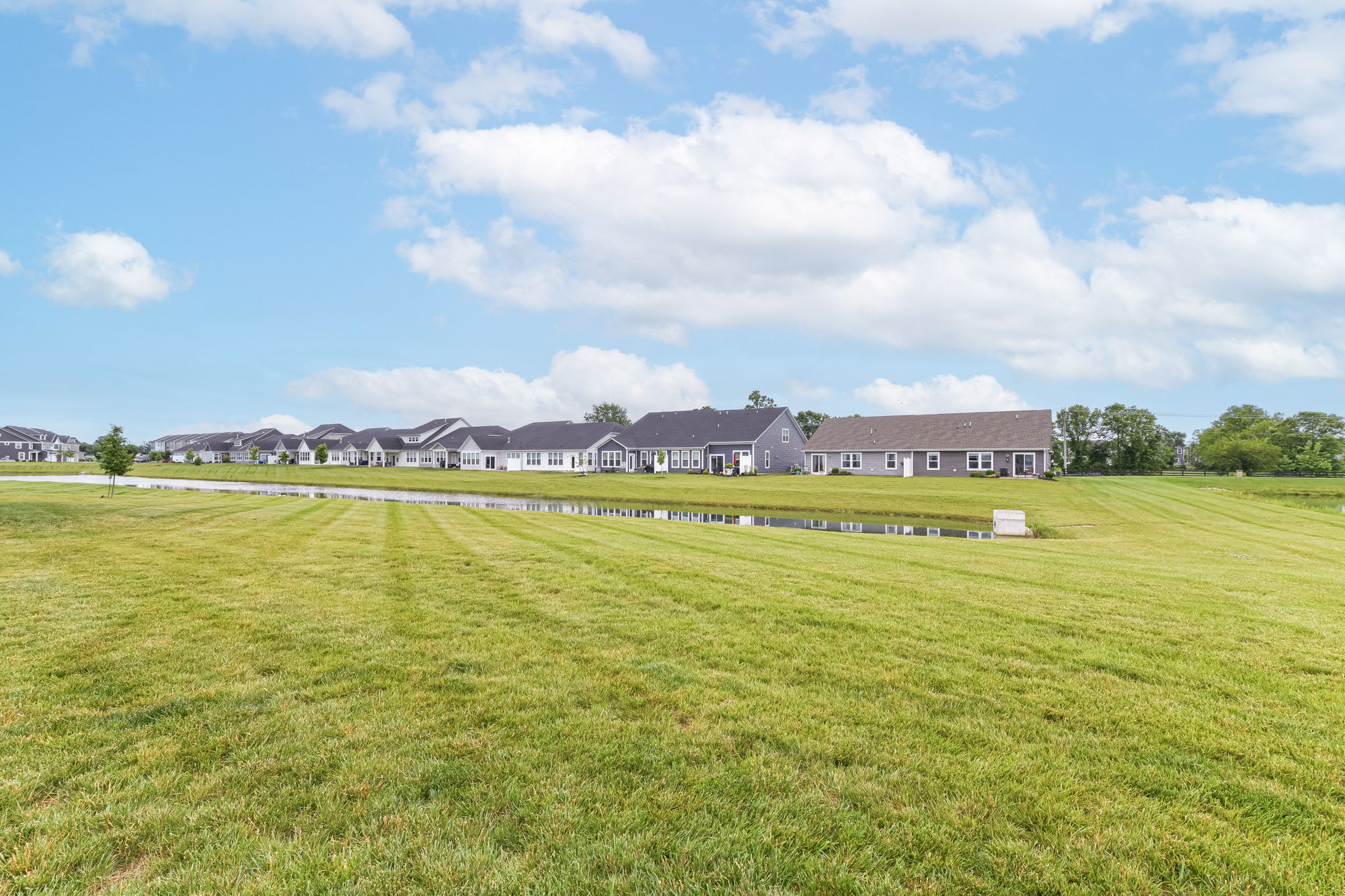 Expansive Views out Back