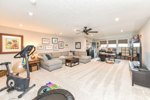 Bonus/Recreation Room