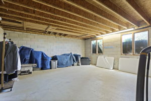  Photo 49