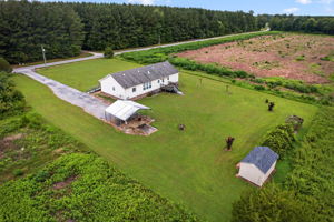 Photo 44