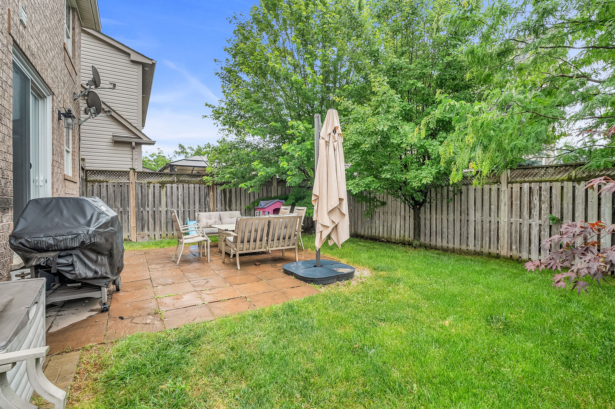 49-backyard2