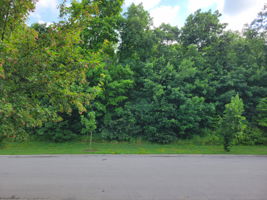  Photo 52