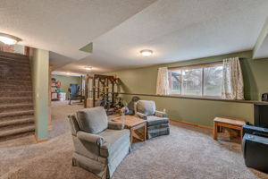 Lower Level Living Room