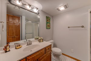 Lower Level - Bathroom