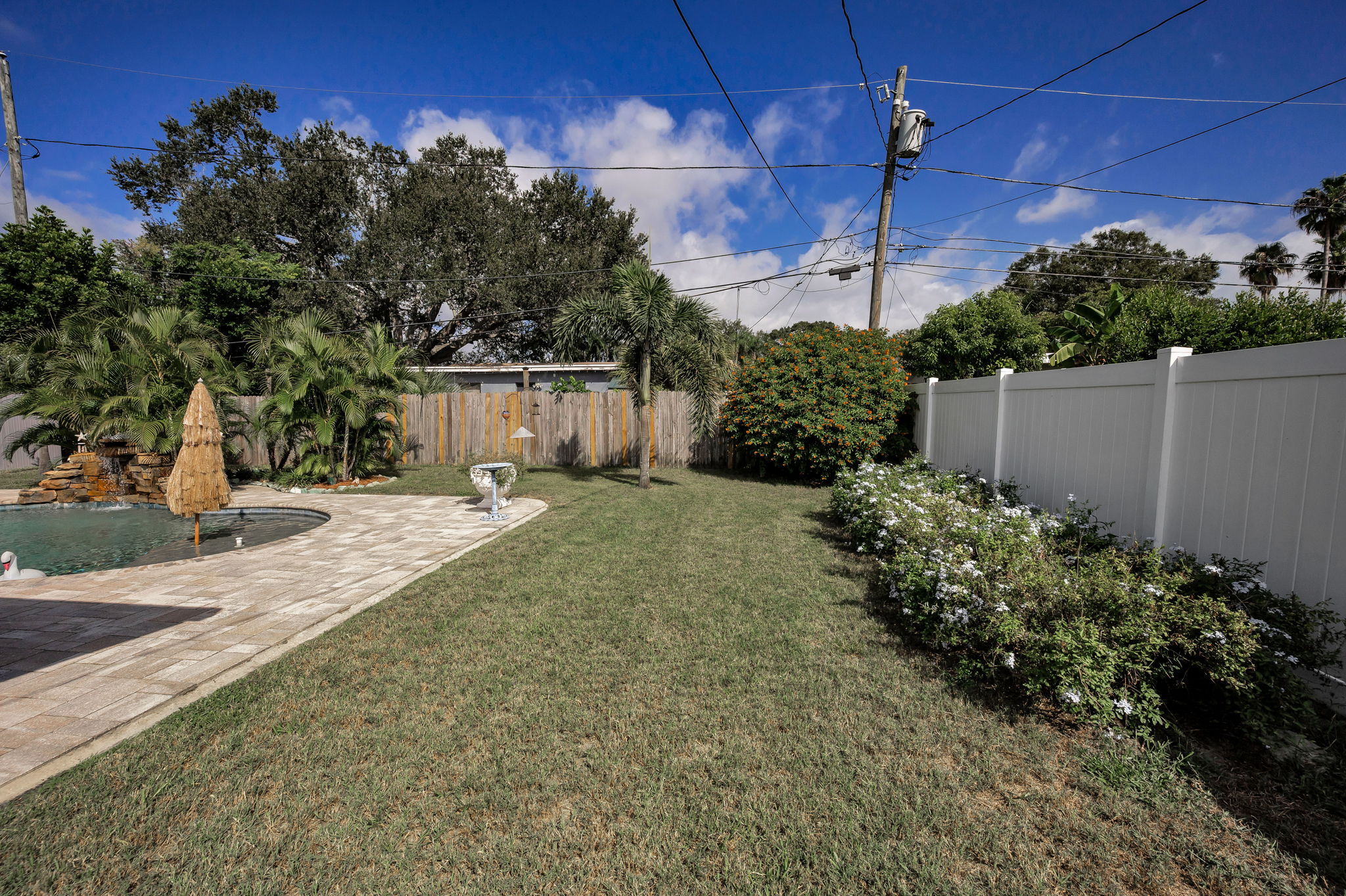 Backyard2