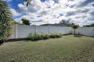 Backyard1