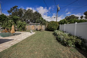 Backyard2
