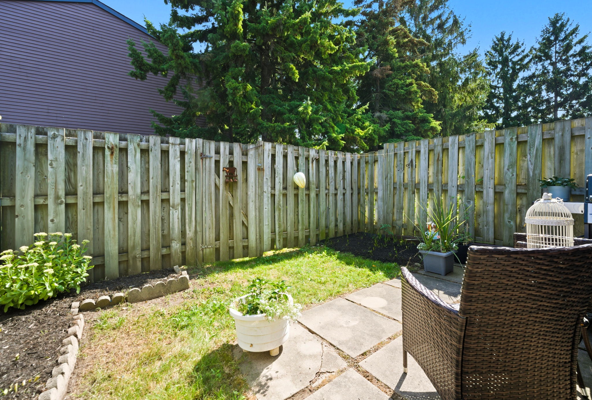  Photo 35