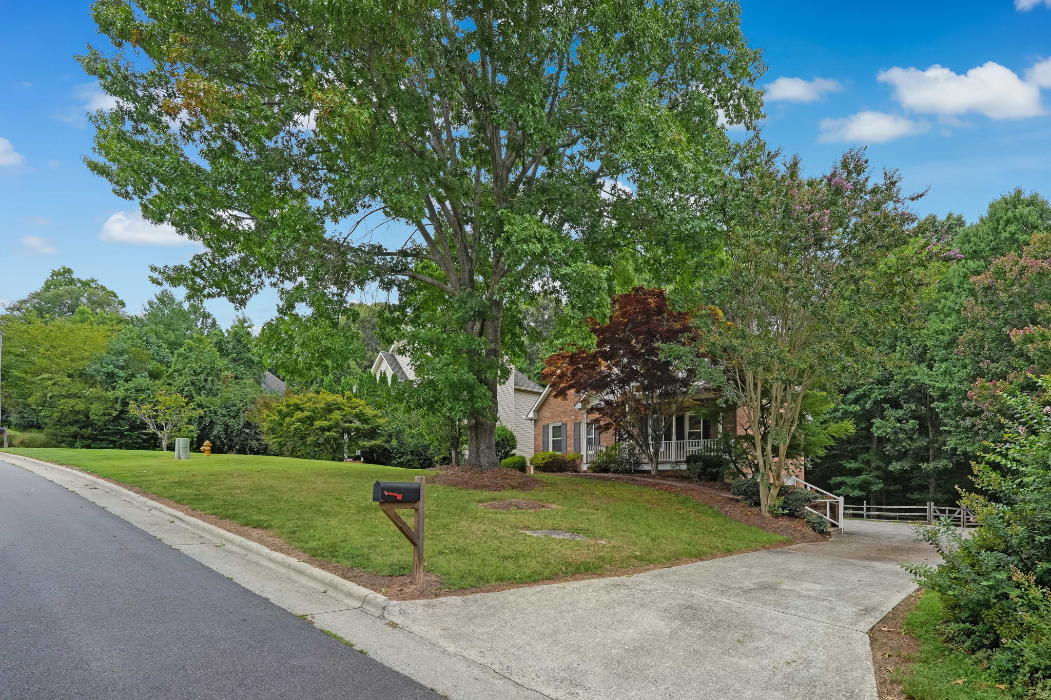 Front Yard