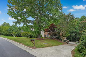 Front Yard