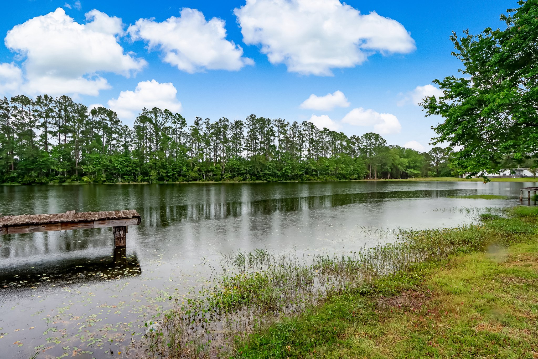 Dock