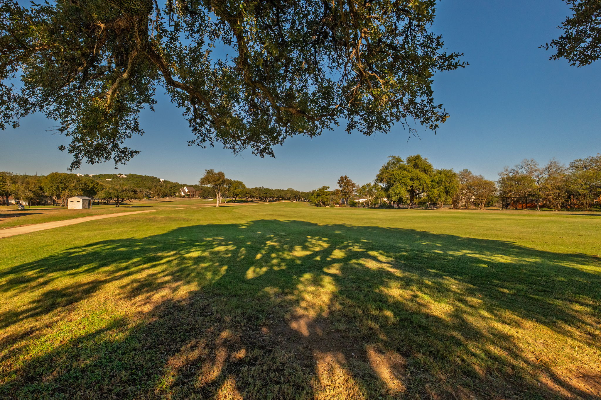 Photo 37