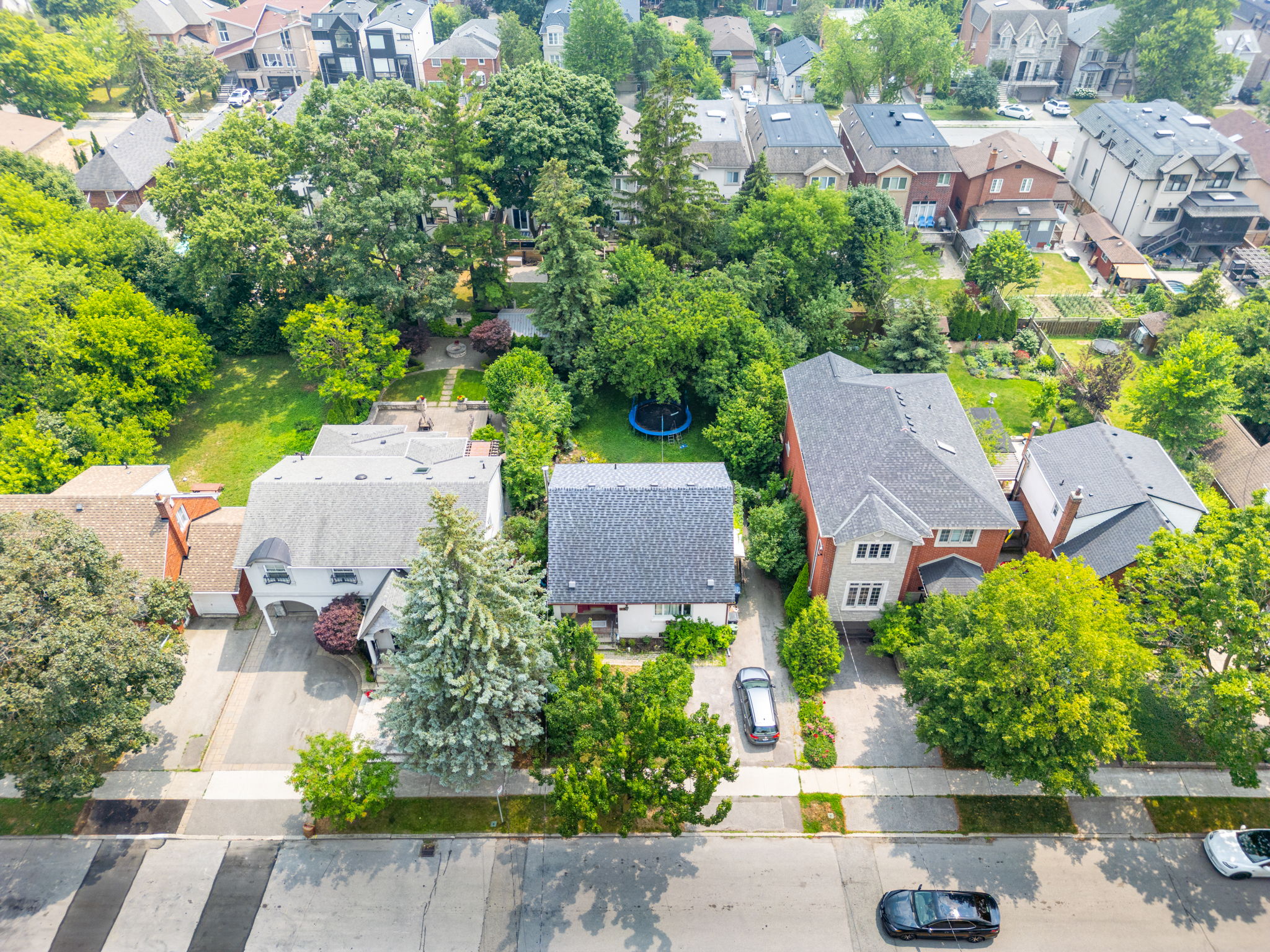 Toronto property showcase — delivered property photograph 3
