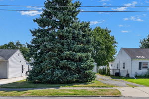  Photo 45