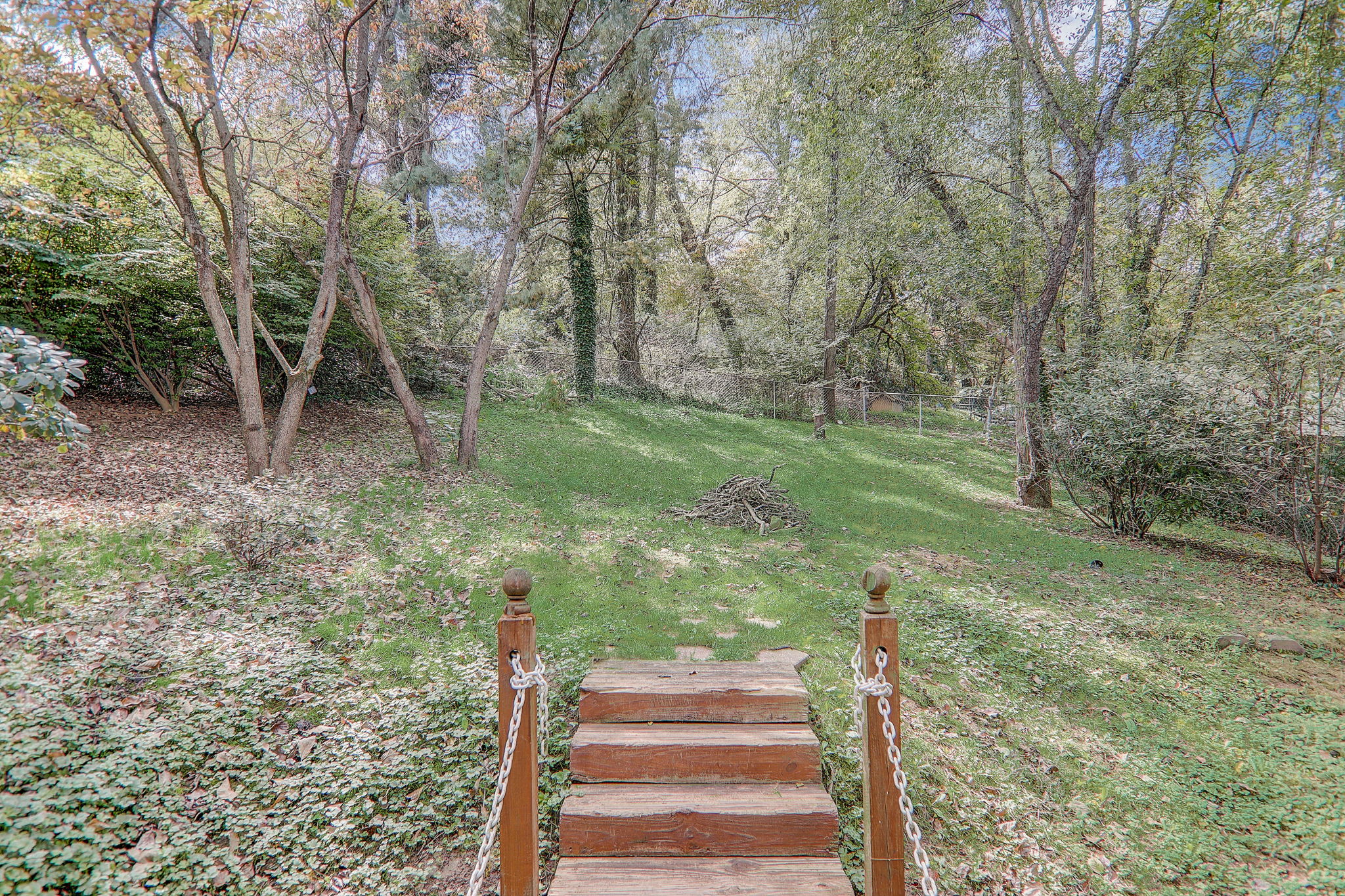 Poplar Dr-045