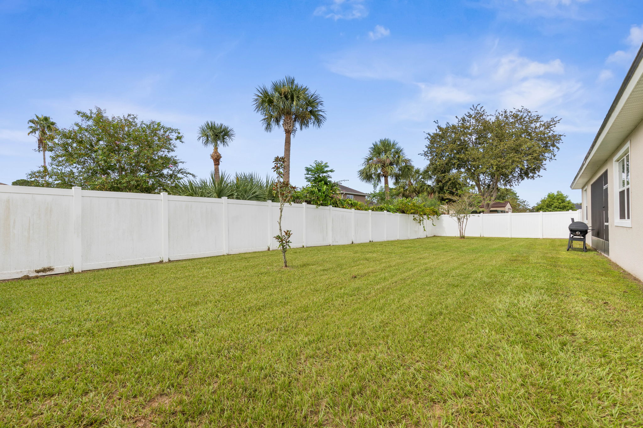 Large Backyard