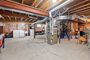  Photo 41