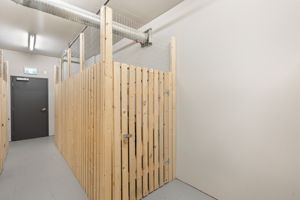  Photo 37