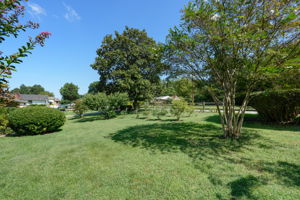 Front Yard