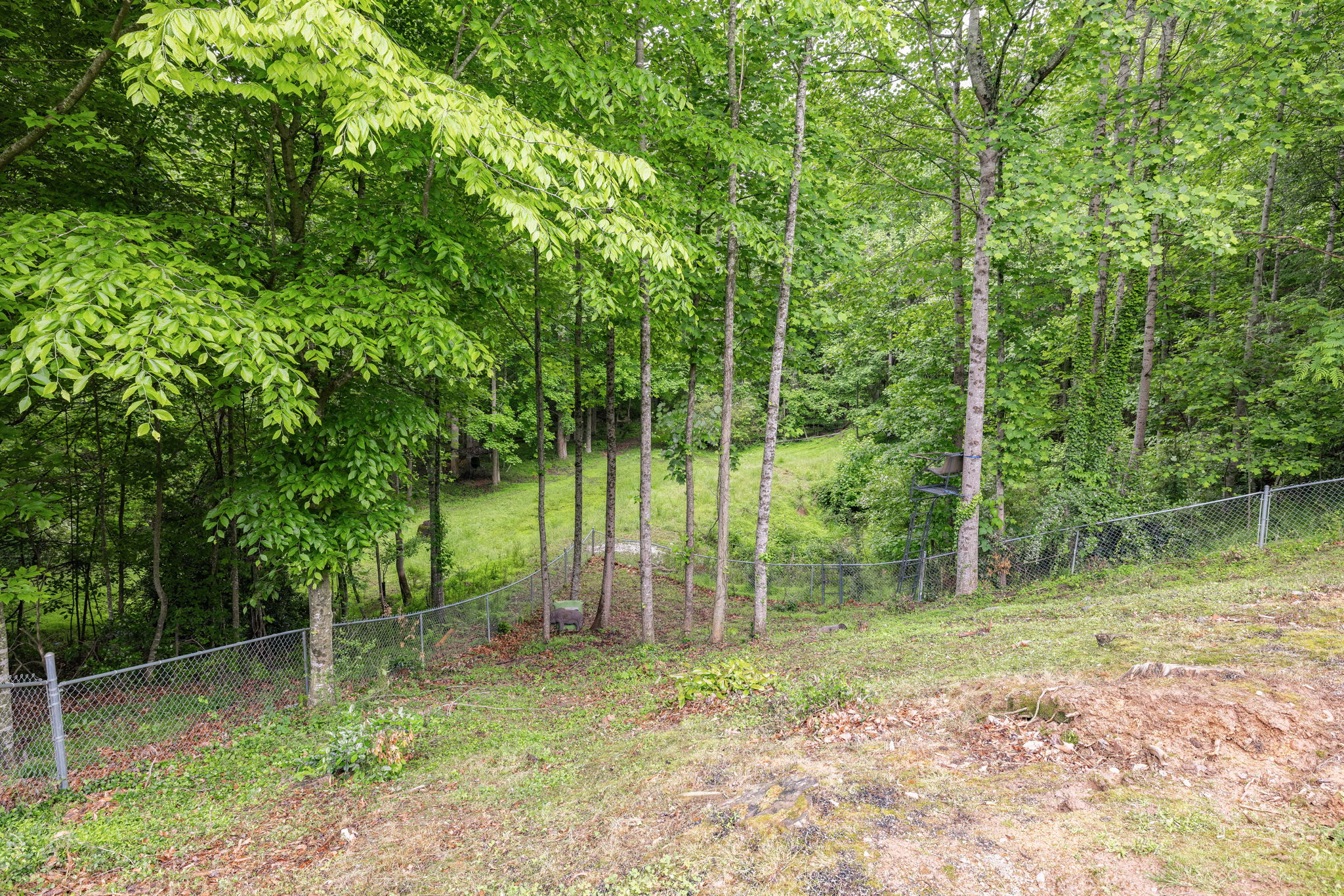 Image-56