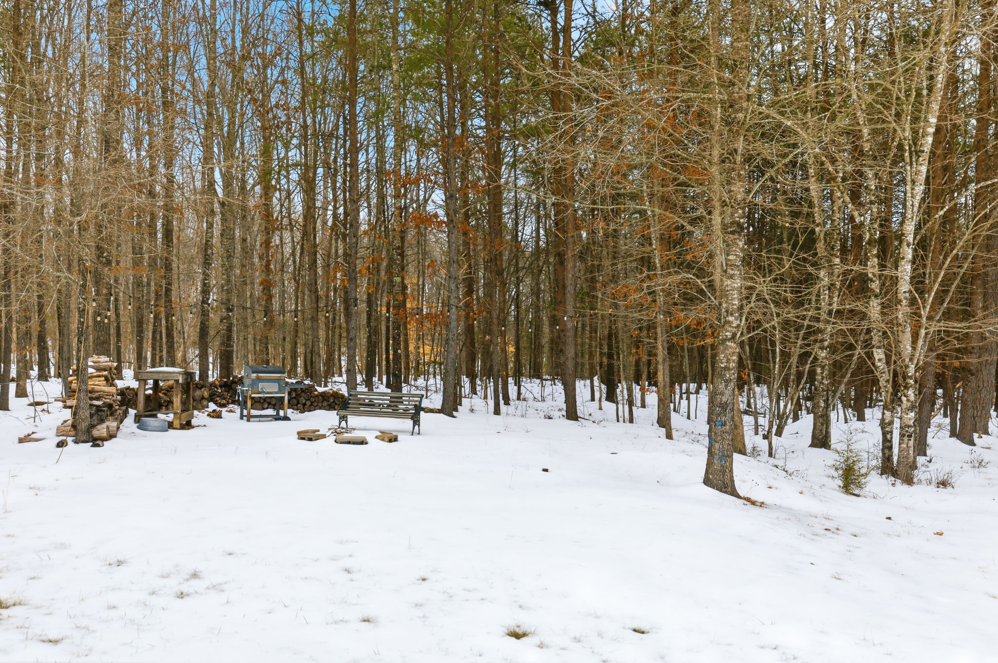 930 Evans Rd, Powhatan, VA 23139 | Tour VA Homes