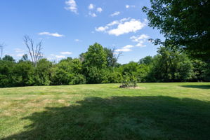  Photo 53
